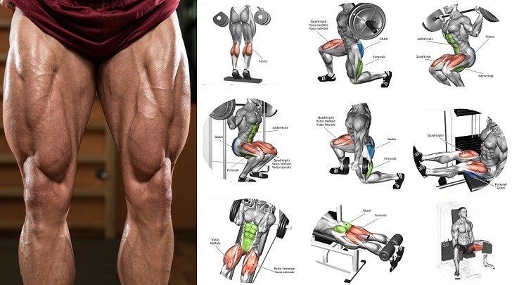 how to build leg muscle